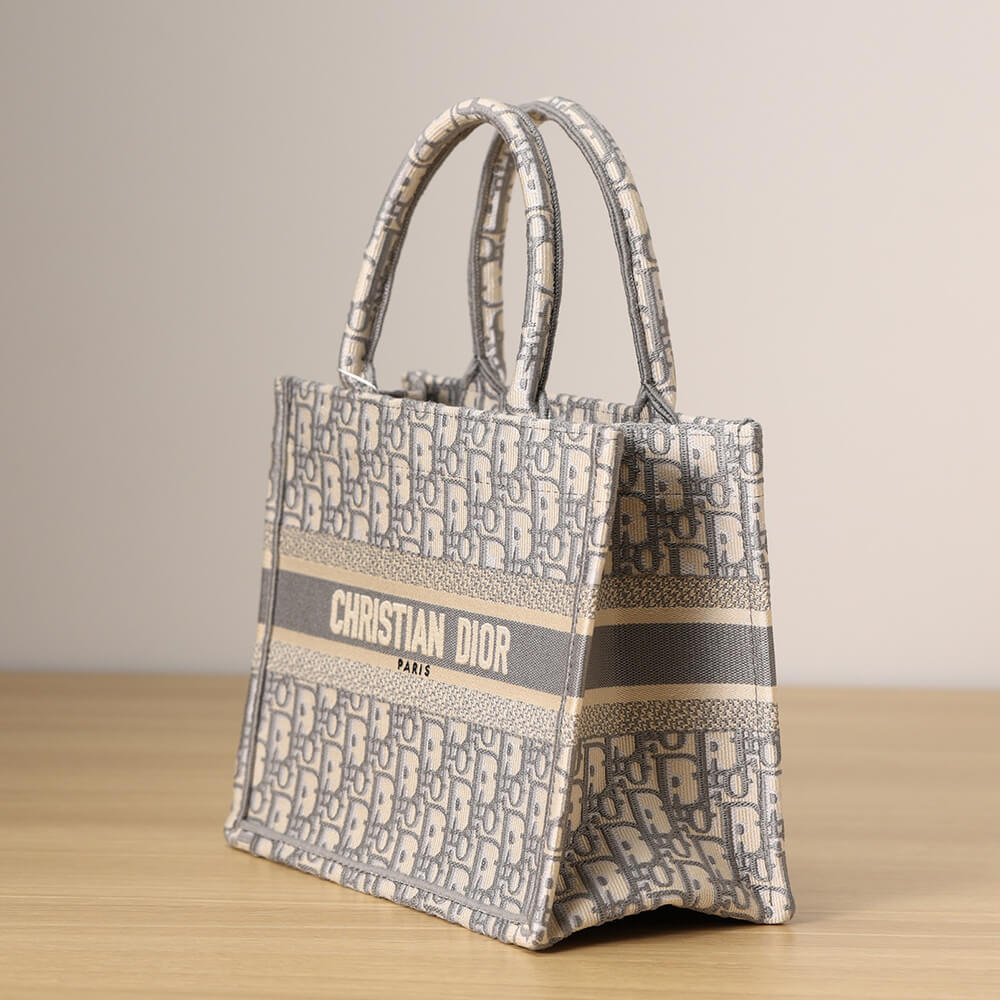 SMALL DIOR BOOK TOTE