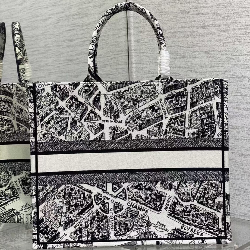 LARGE DIOR BOOK TOTE