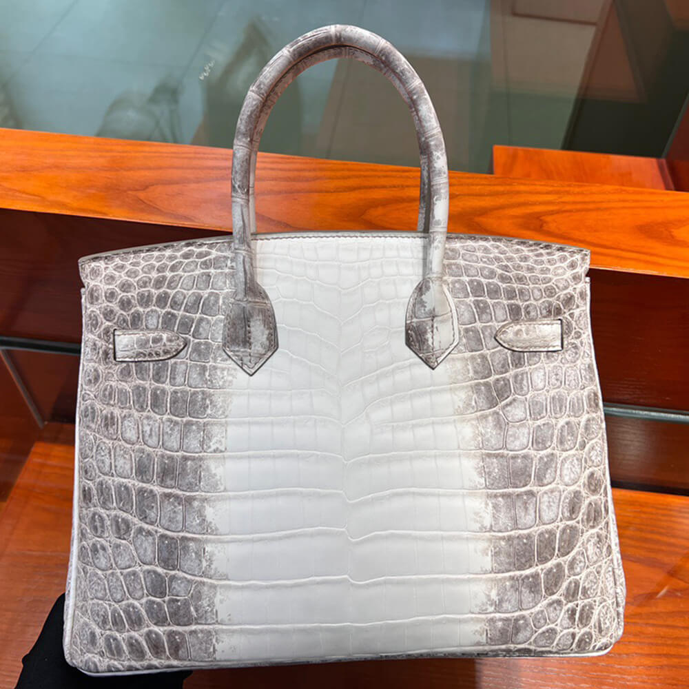 Hermès Birkin 30 Himalayan