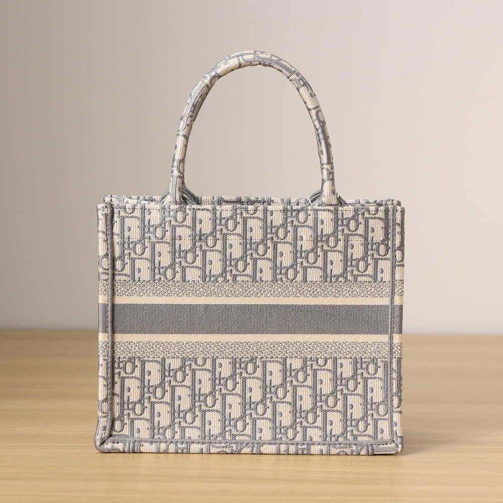 SMALL DIOR BOOK TOTE