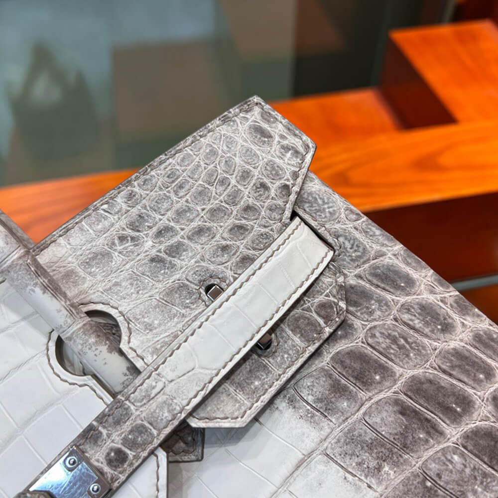Hermès Birkin 30 Himalayan