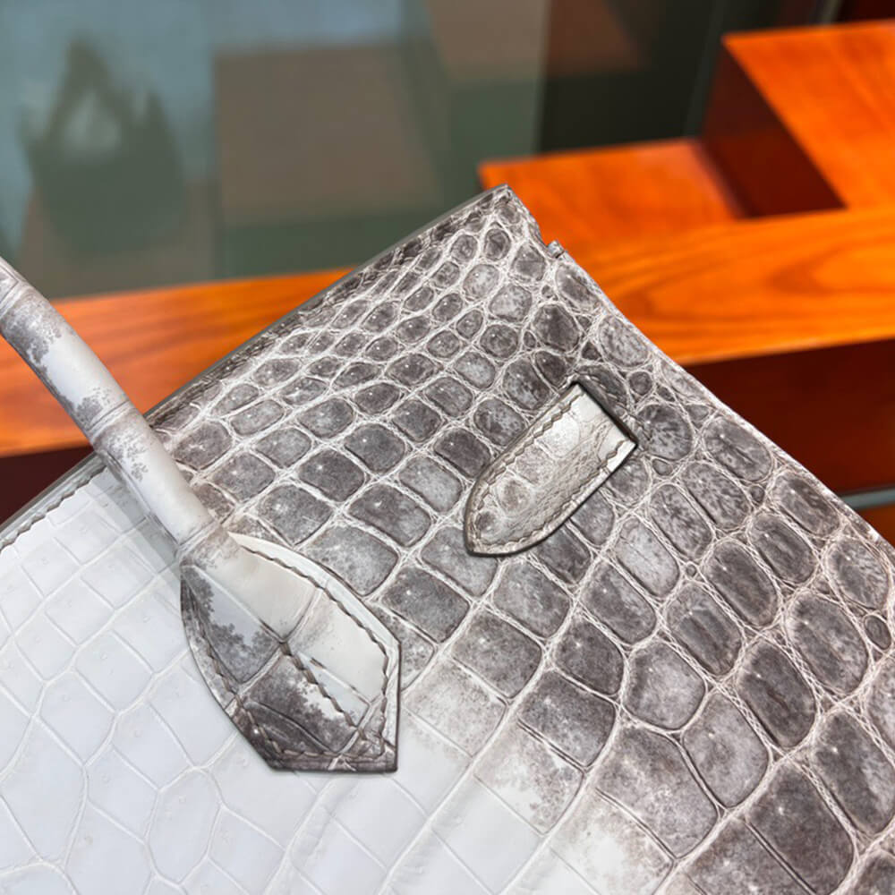 Hermès Birkin 30 Himalayan