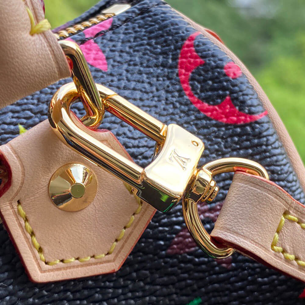 LV Multicolor Nano Speedy Bag