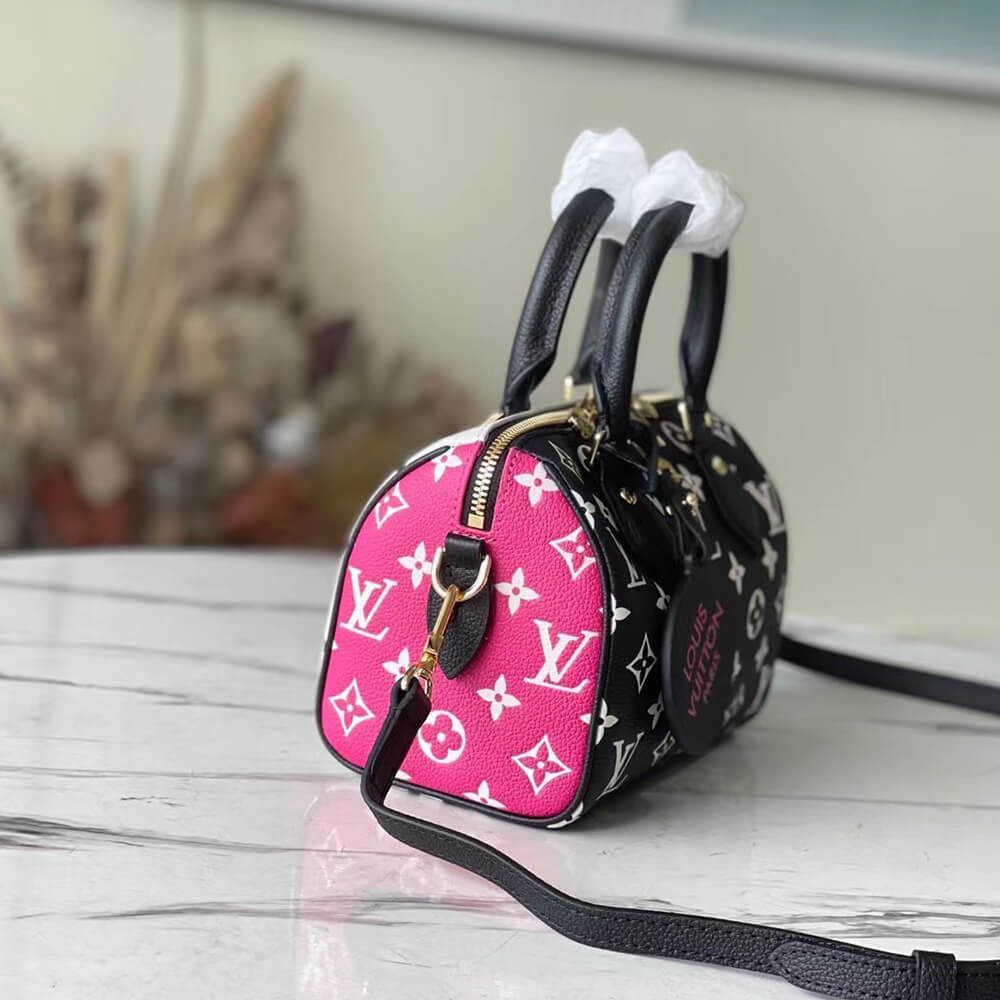 LV Speedy Bandouliere 20 2way Hand Bag