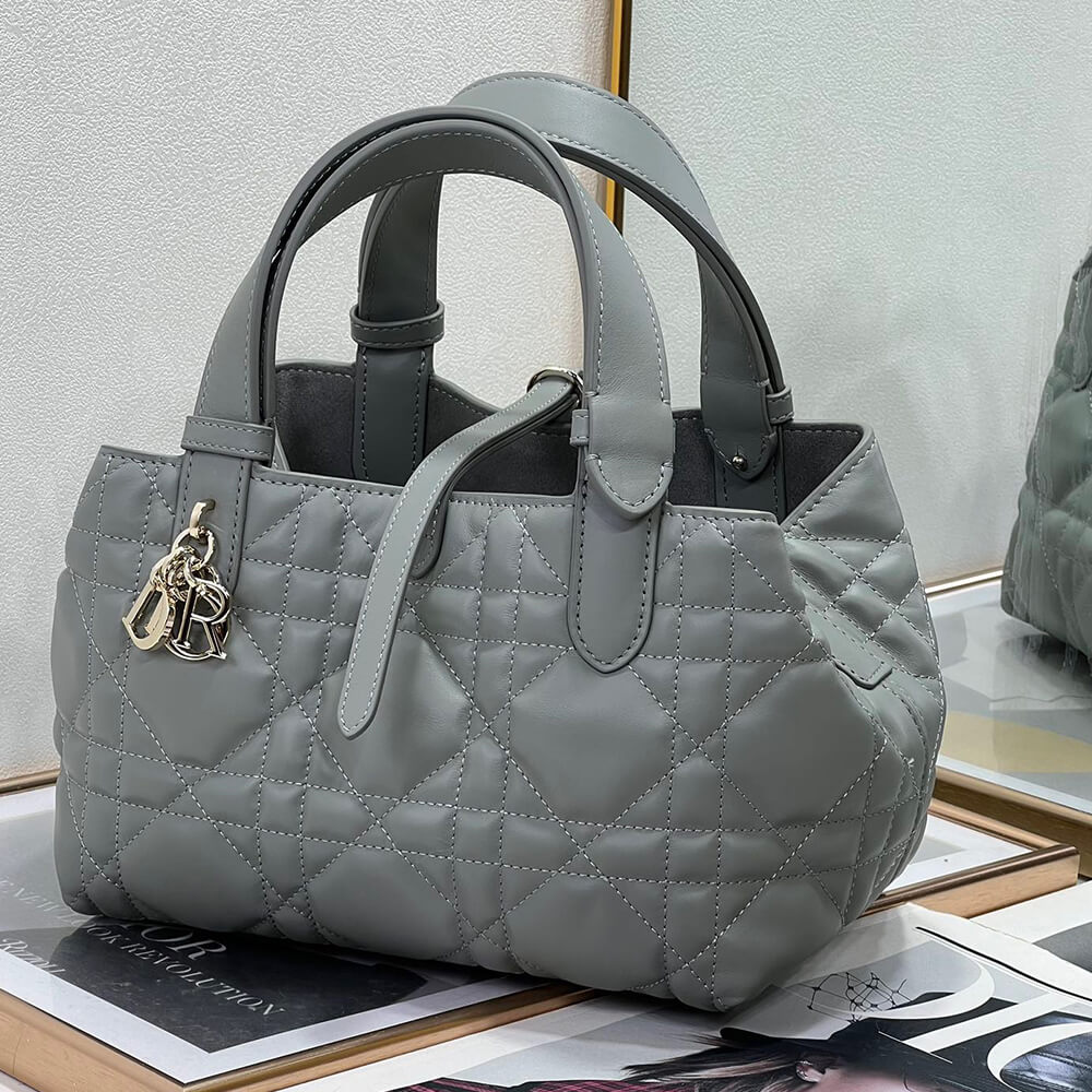 Small DIOR TOUJOURS BAG