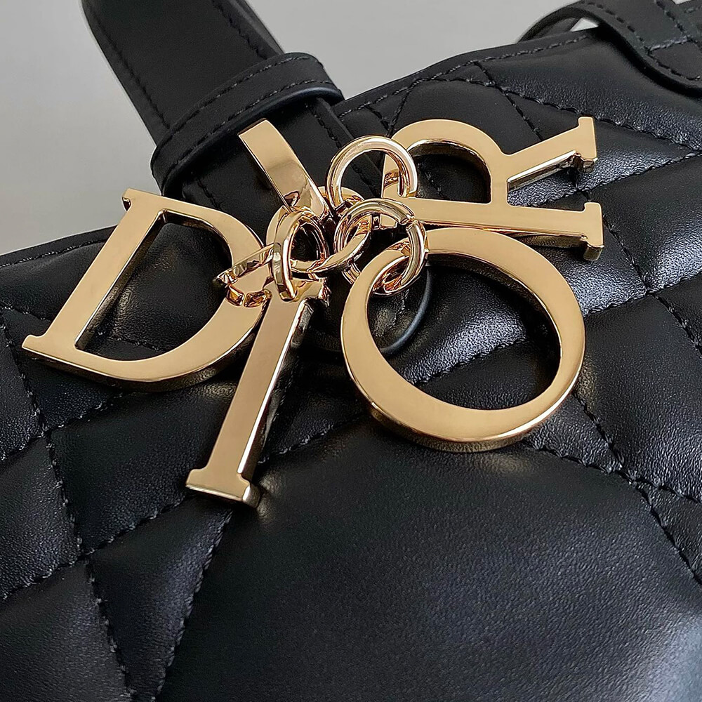 Dior Large Toujours Bag(HIGH-END GRADE)