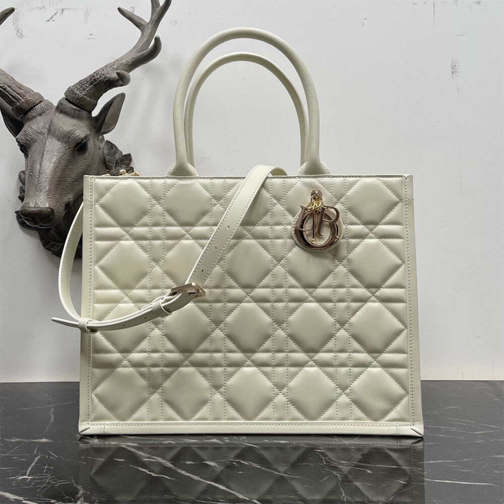 Dior Medium Dior Book Tote