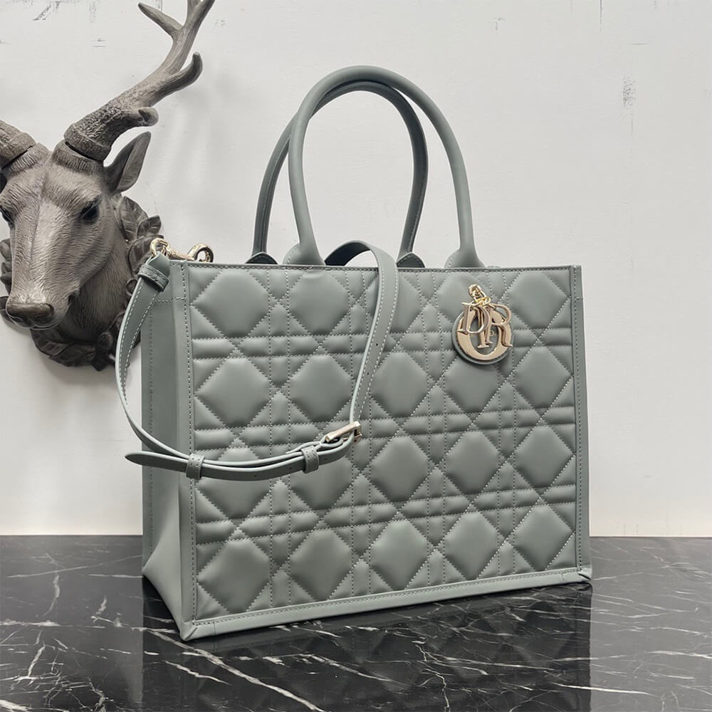 Dior Medium Dior Book Tote