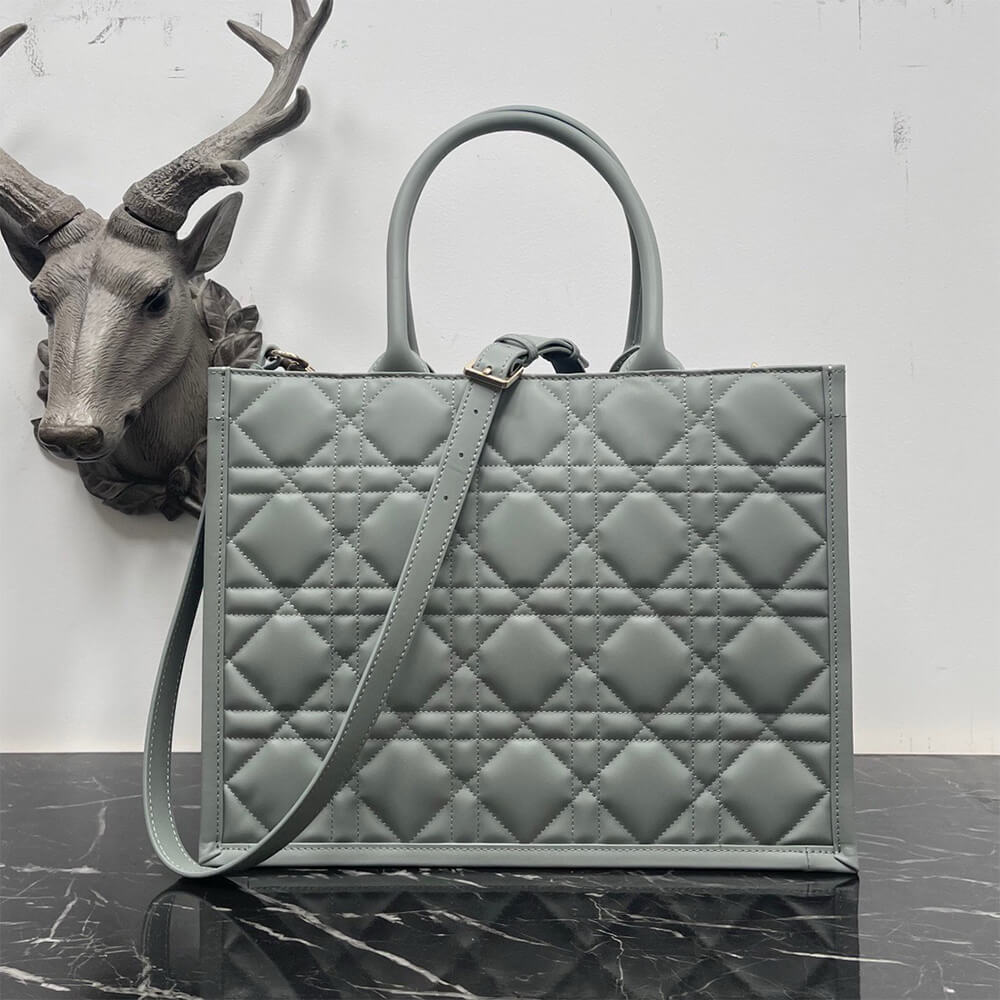 Dior Medium Dior Book Tote