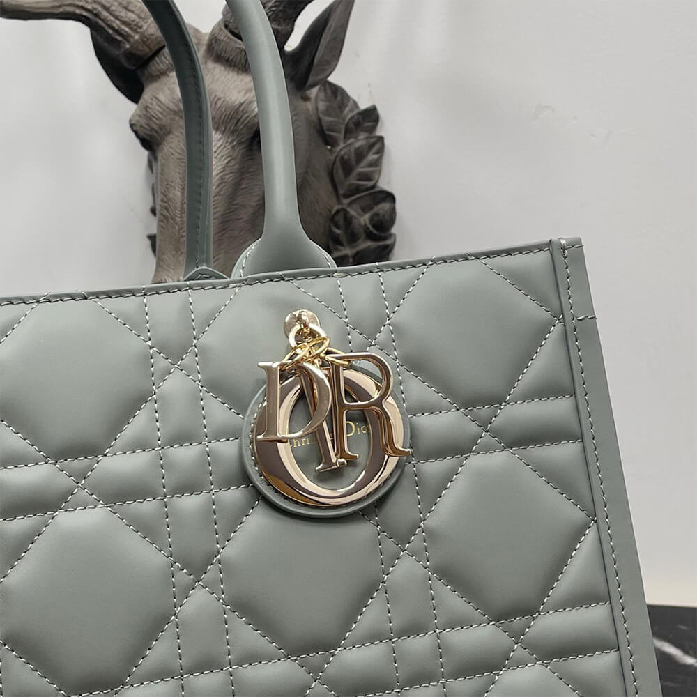 Dior Medium Dior Book Tote
