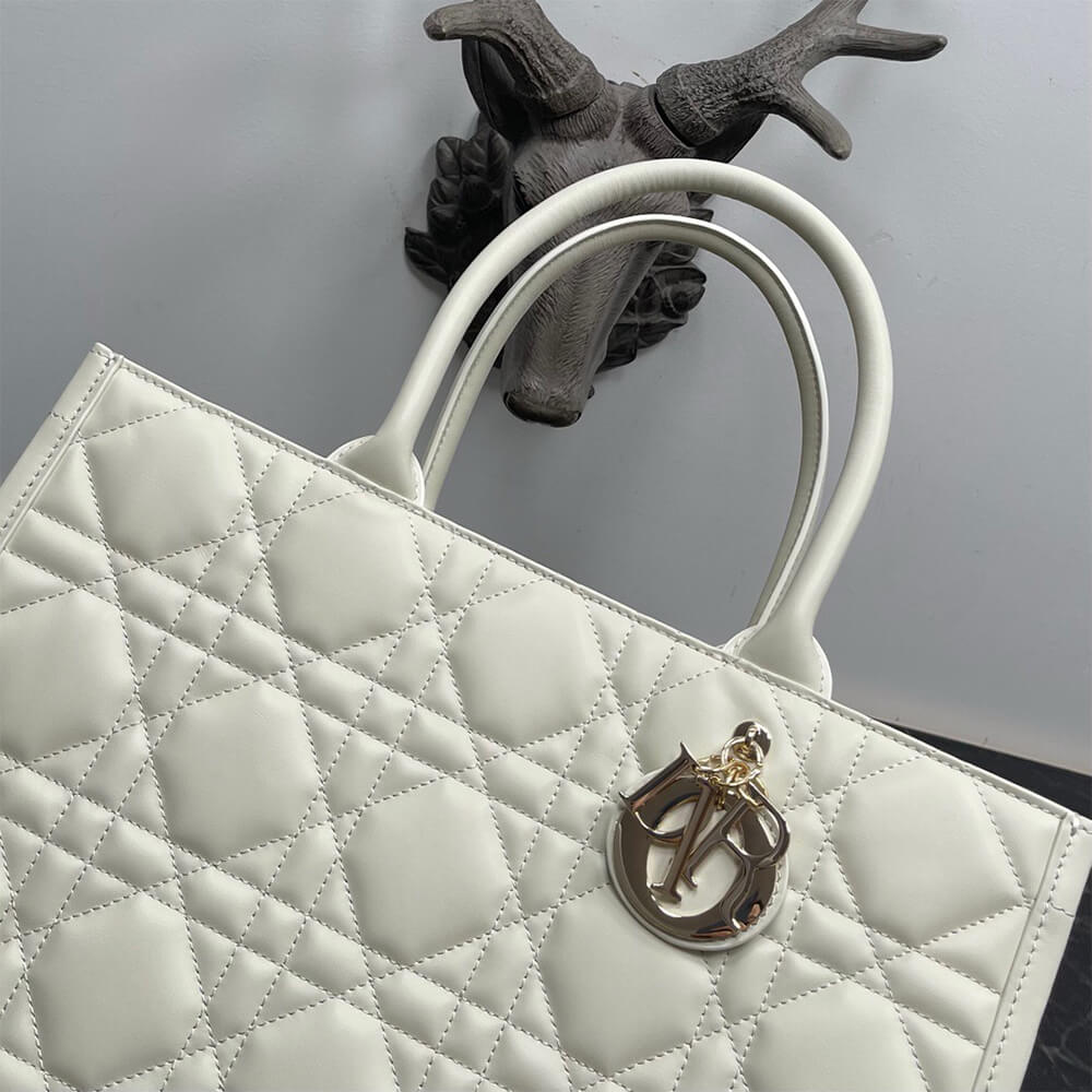 Dior Medium Dior Book Tote