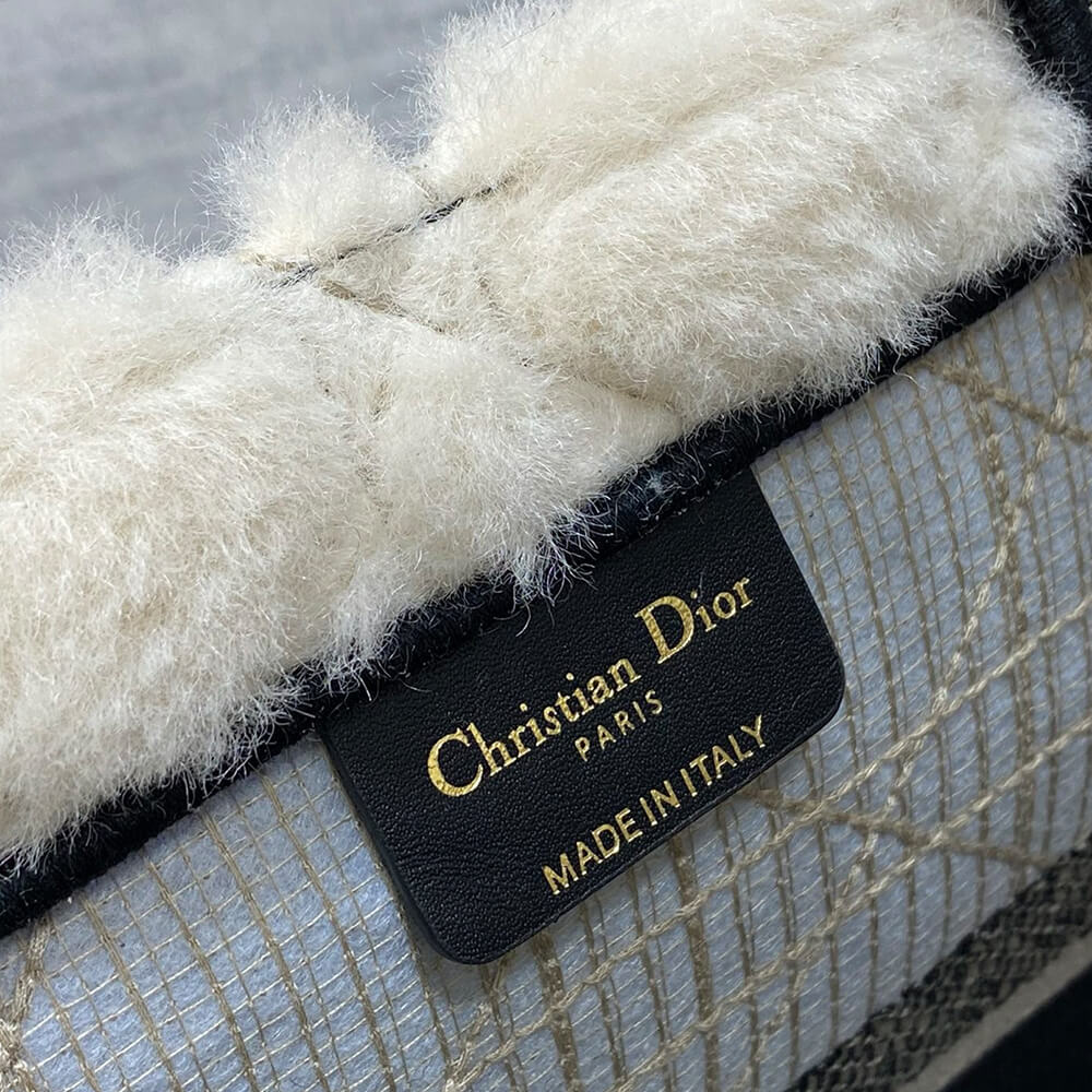 Medium Dior Book Tote