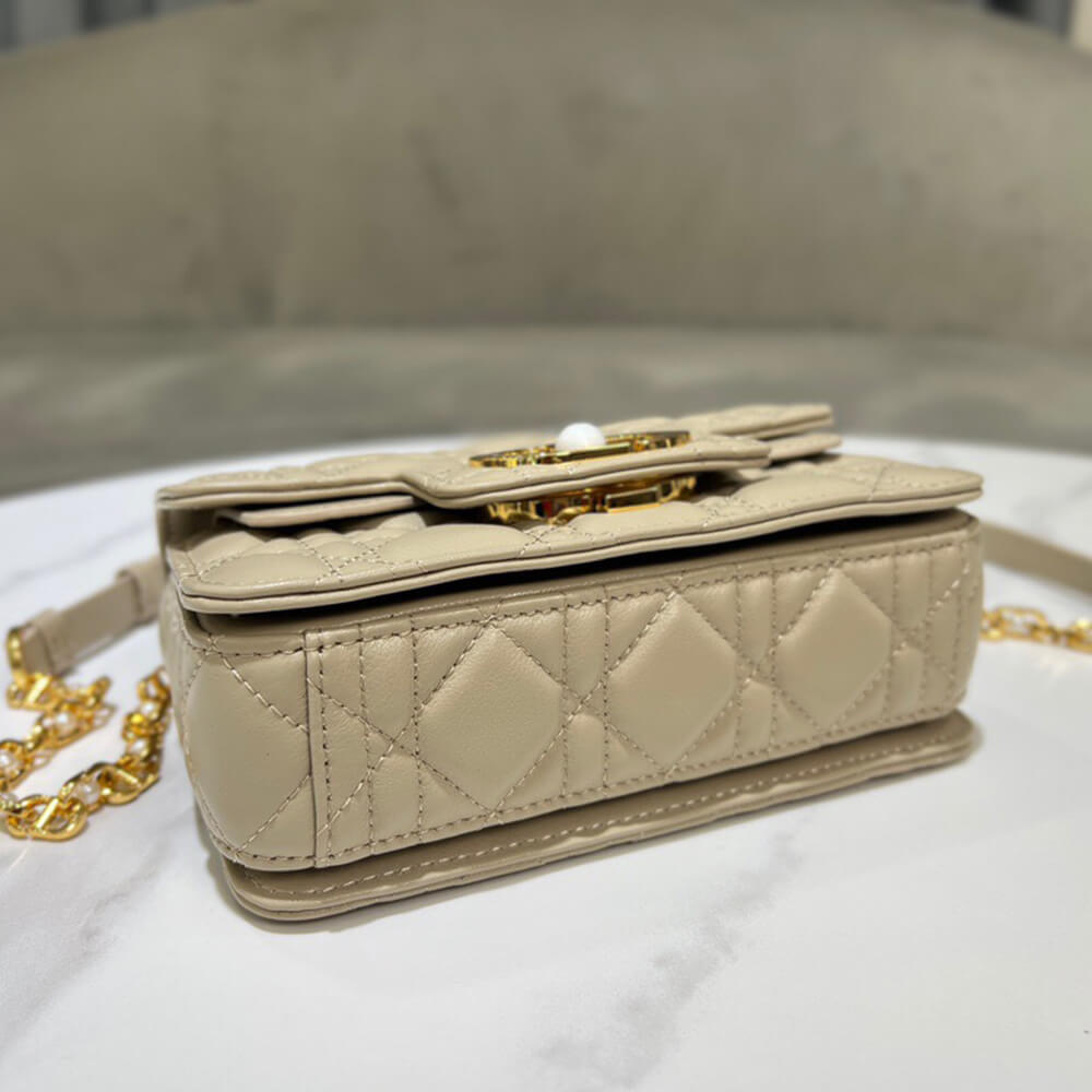 DIOR Mini Dior Jolie Top Handle Bag