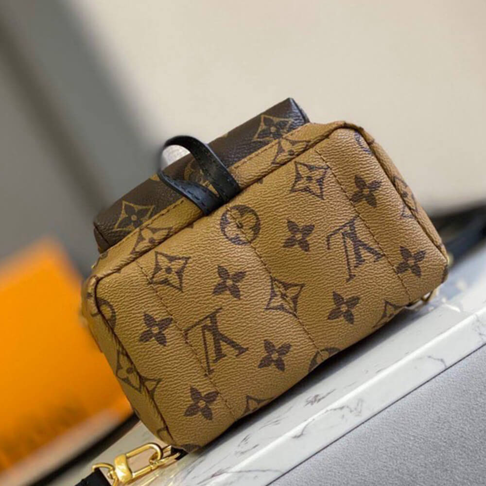 LV Palm Springs Mini(High-End Grade)