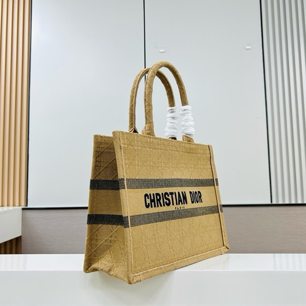 Medium Dior Book Tote
