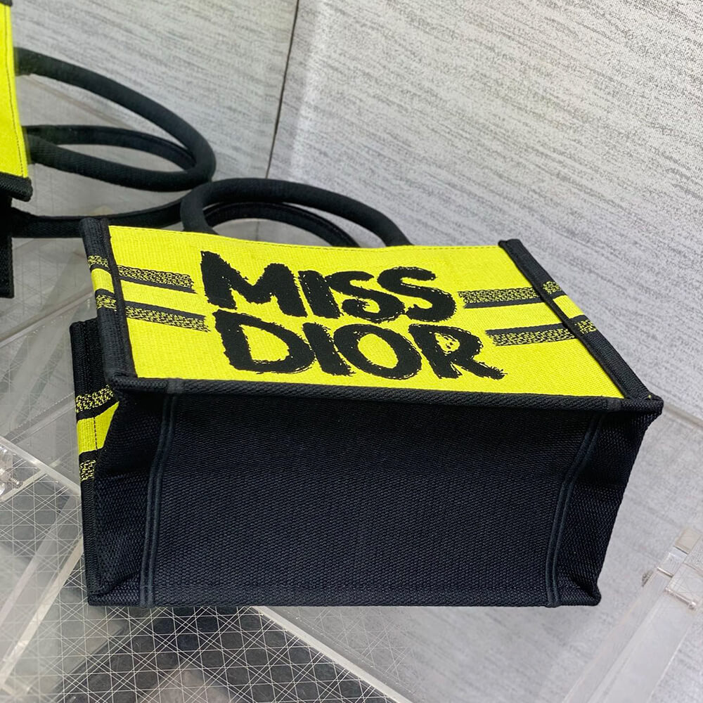 Small Dior Book Tote