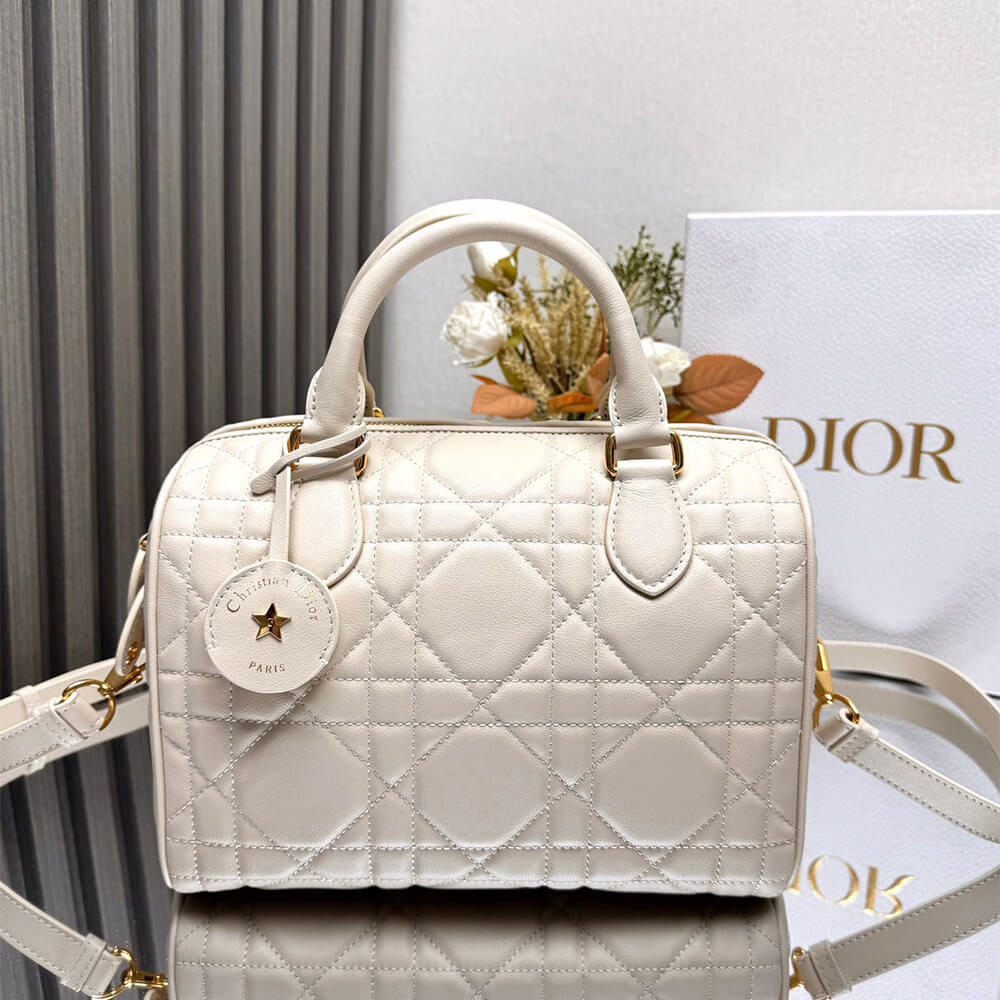 Dior Groove 25 Bag(high-end grade)