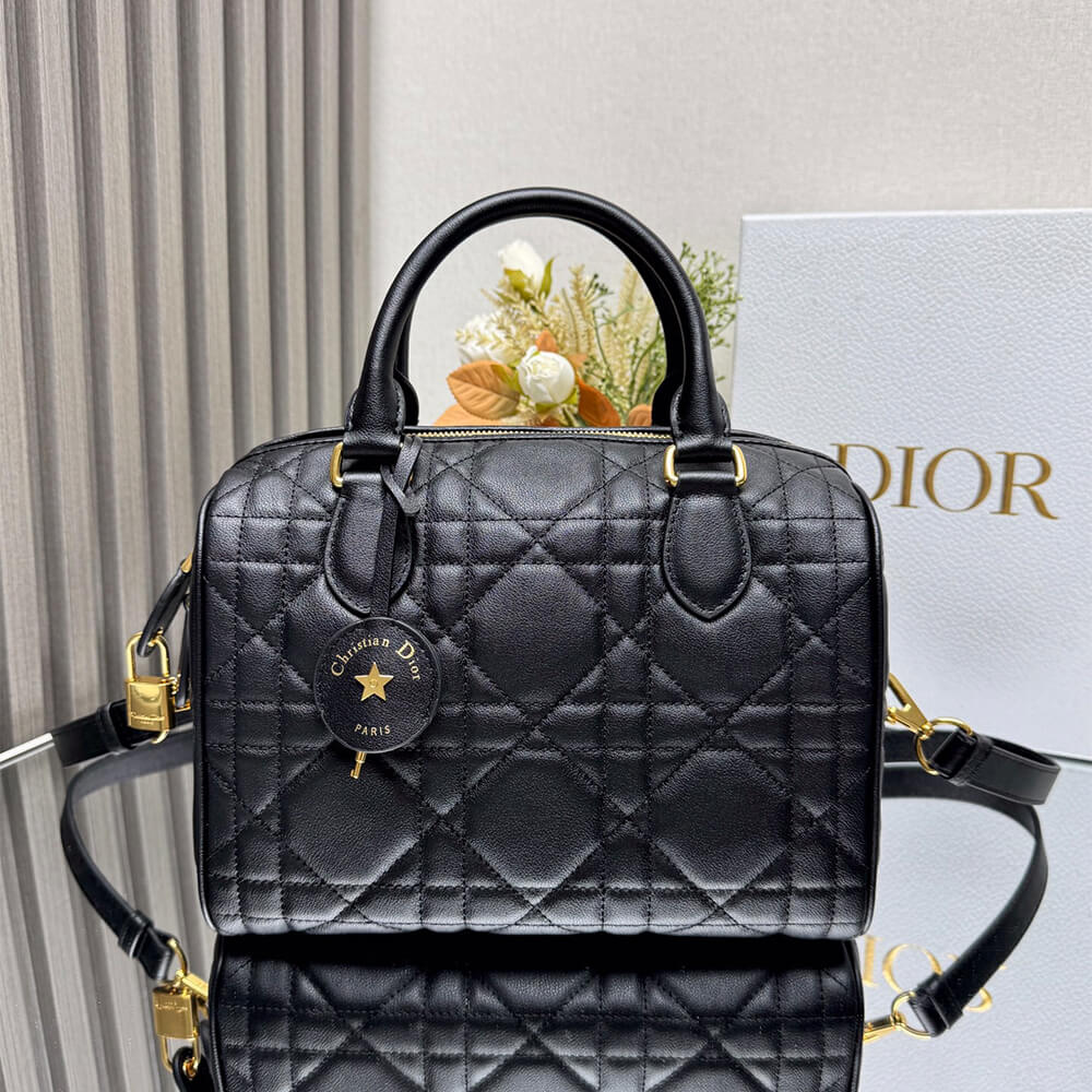 Dior Groove 25 Bag(high-end grade)