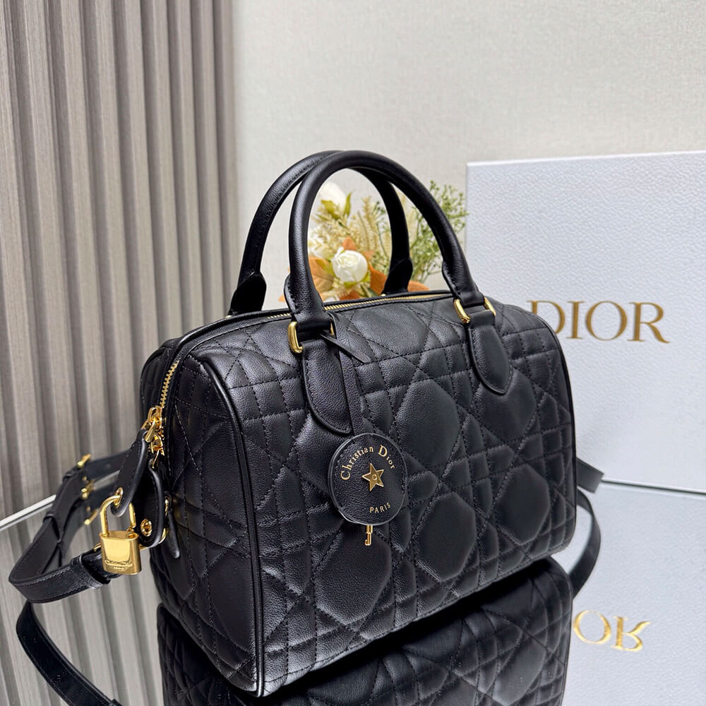 Dior Groove 25 Bag(high-end grade)