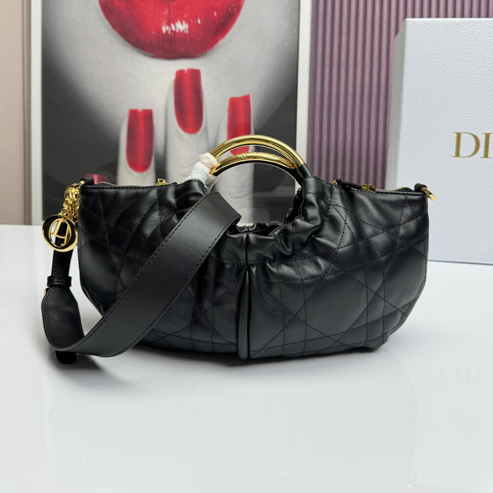 Dior Walk in Dior Purse
