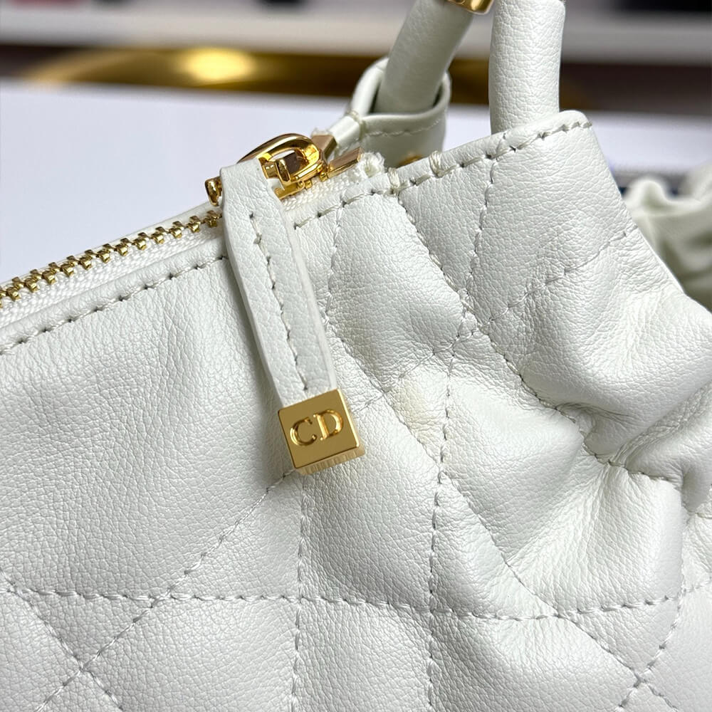 Dior Walk in Dior Purse