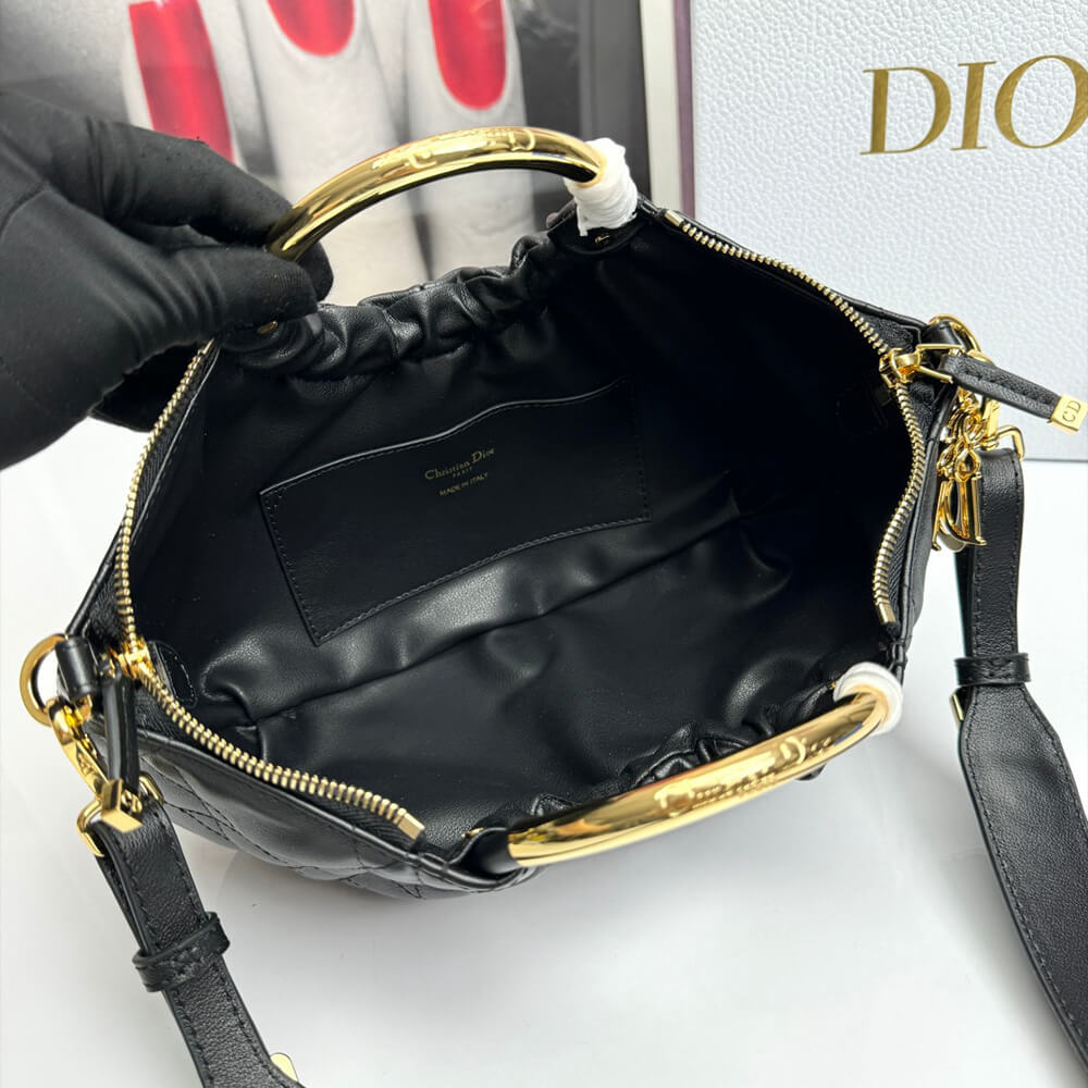 Dior Walk in Dior Purse