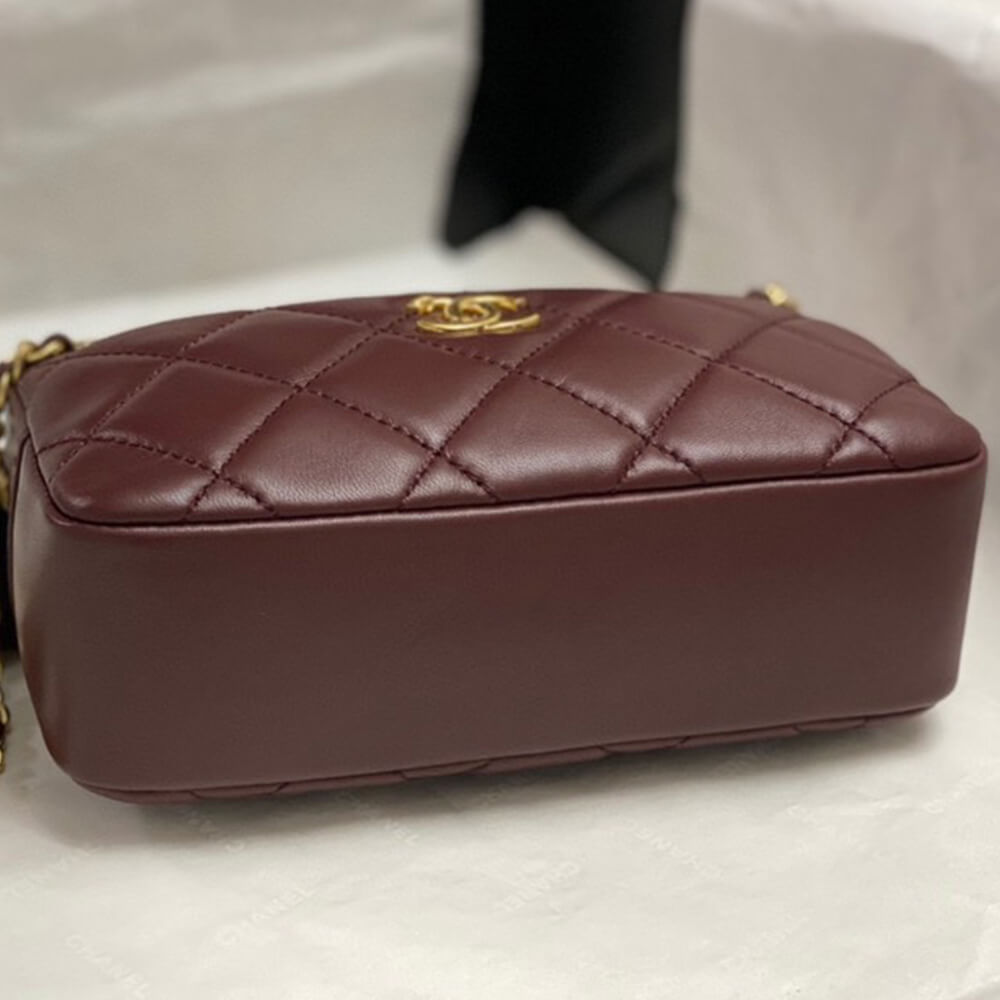 CHANEL Mini Camera Case