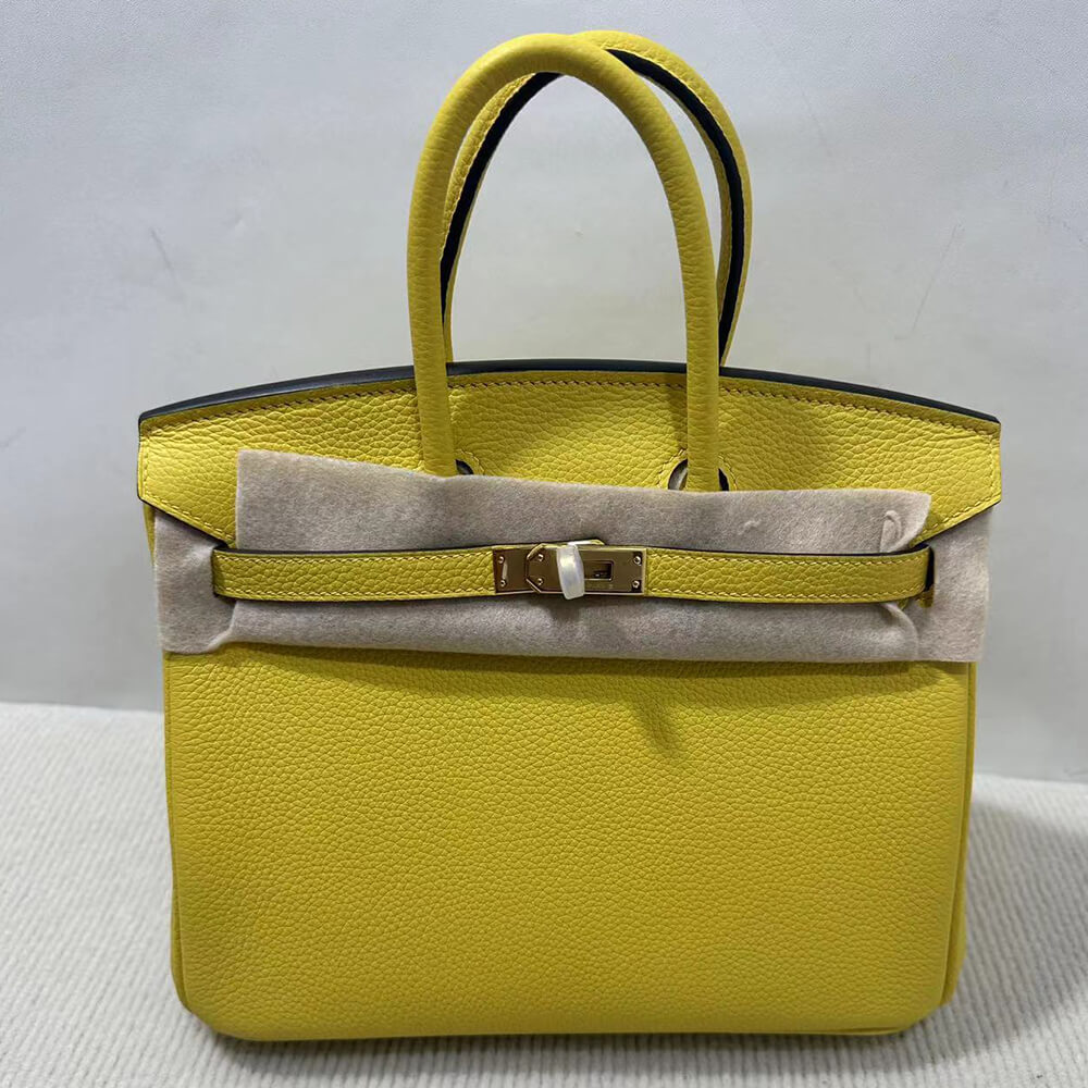 Hermes Birkin 25 Bag(Tax-Free GRADE)