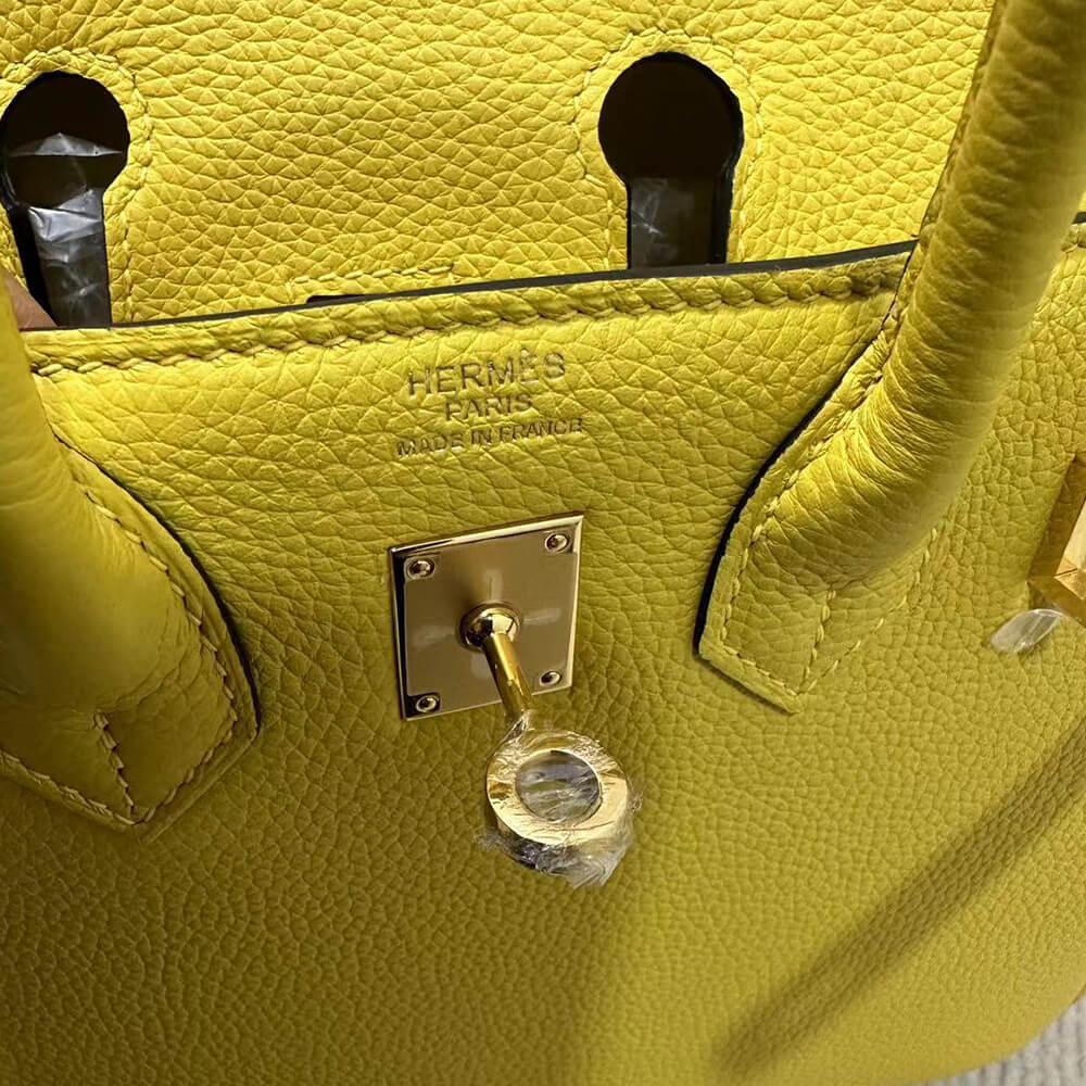Hermes Birkin 25 Bag(Tax-Free GRADE)