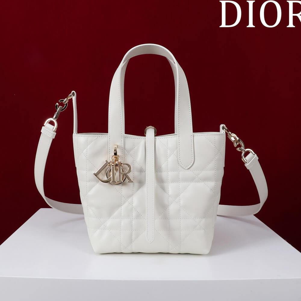 Small Dior Toujours Vertical Tote Bag(high-end grade)