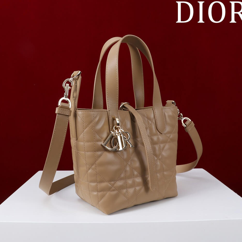 Small Dior Toujours Vertical Tote Bag(high-end grade)