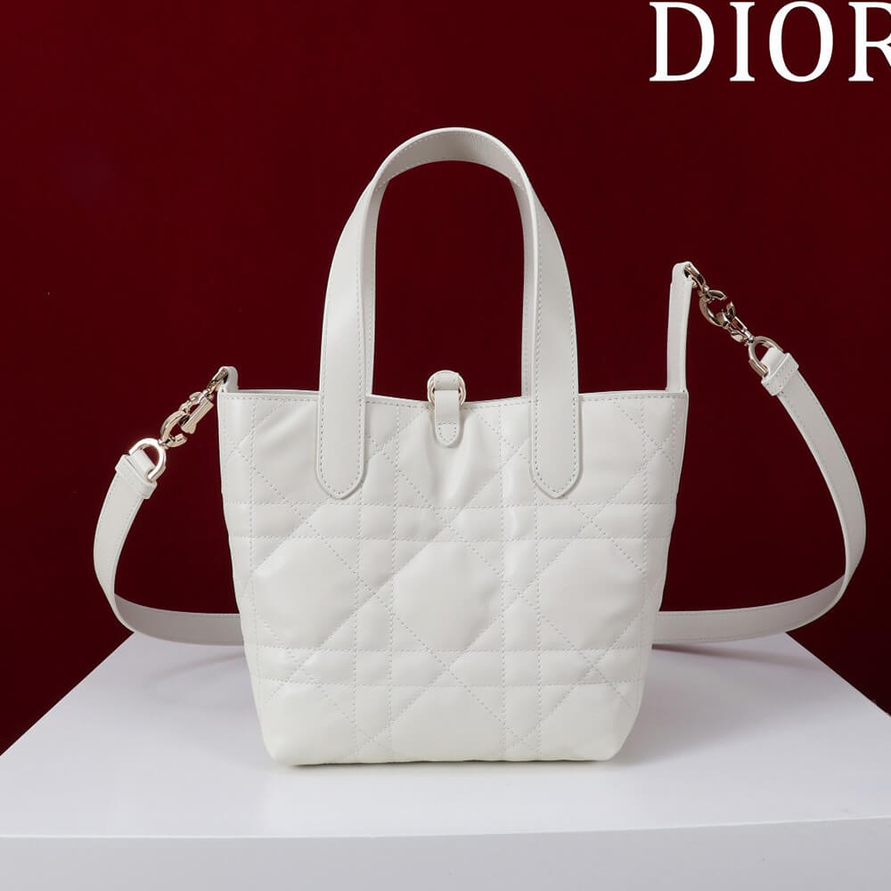 Small Dior Toujours Vertical Tote Bag(high-end grade)