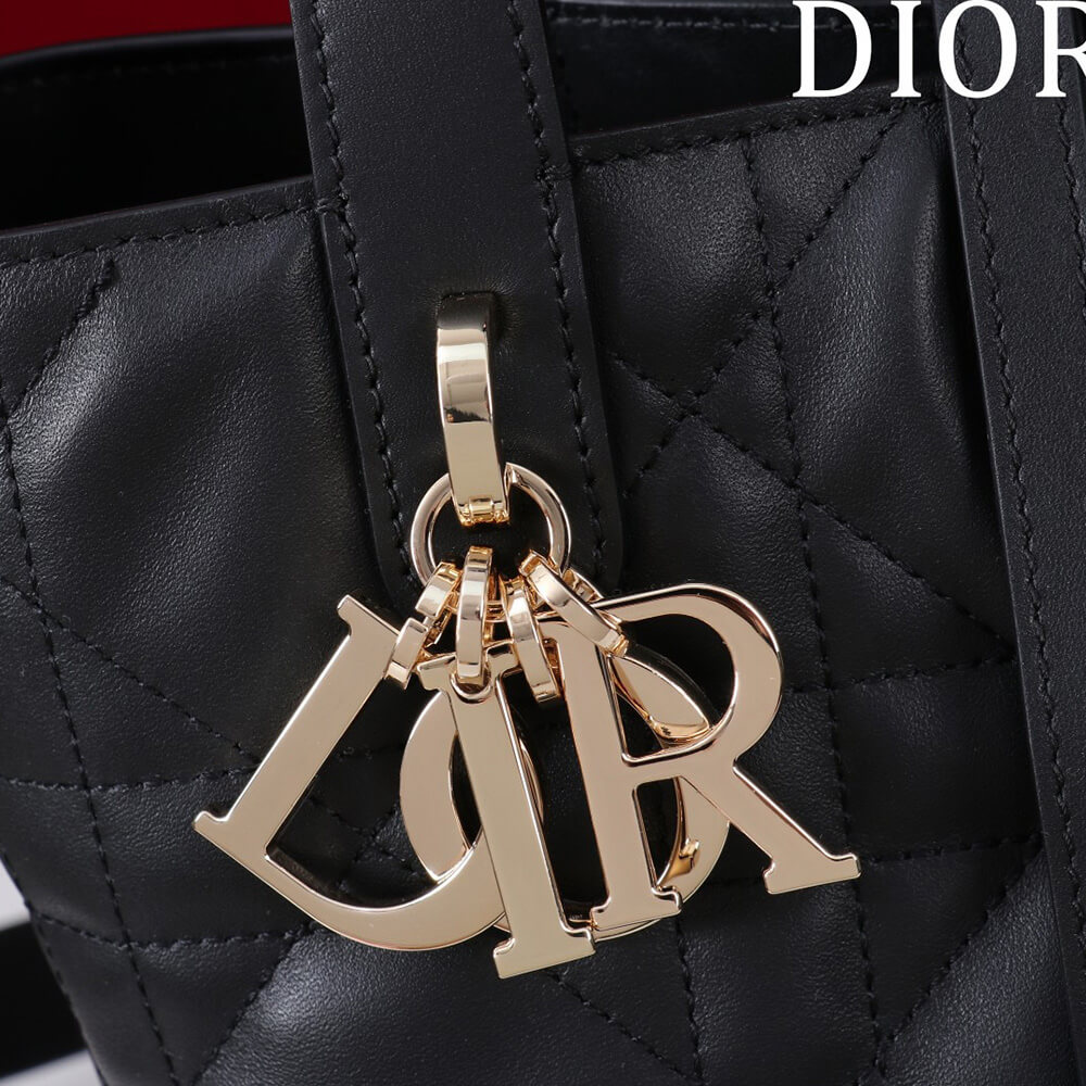 Small Dior Toujours Vertical Tote Bag(high-end grade)