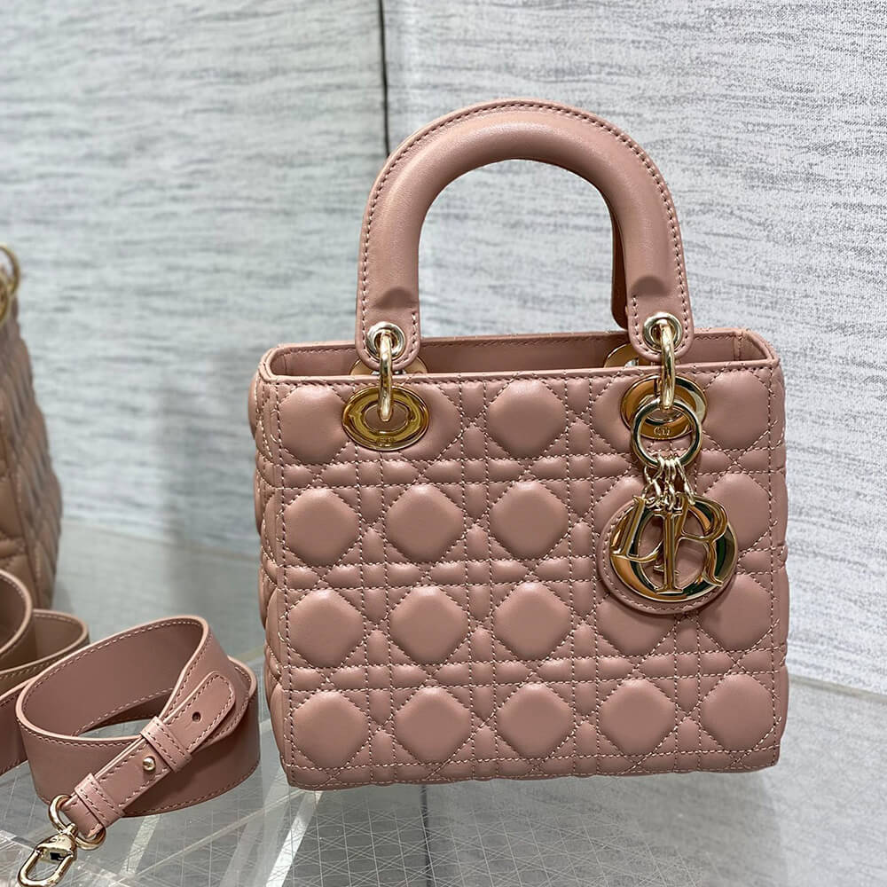 Small Lady Dior My ABCDior Bag