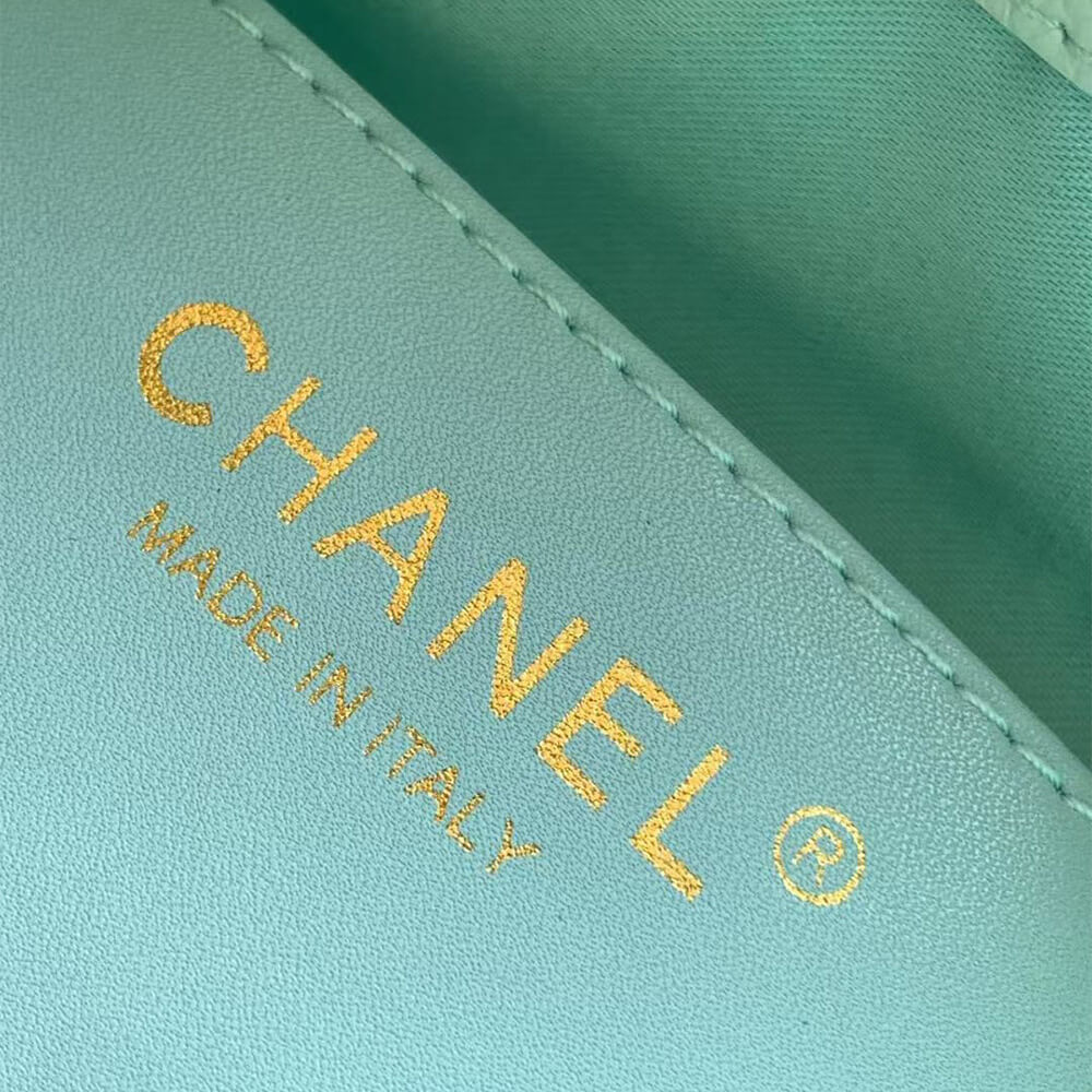 CHANEL 25 Small Handbag(HIGH-END GRADE)