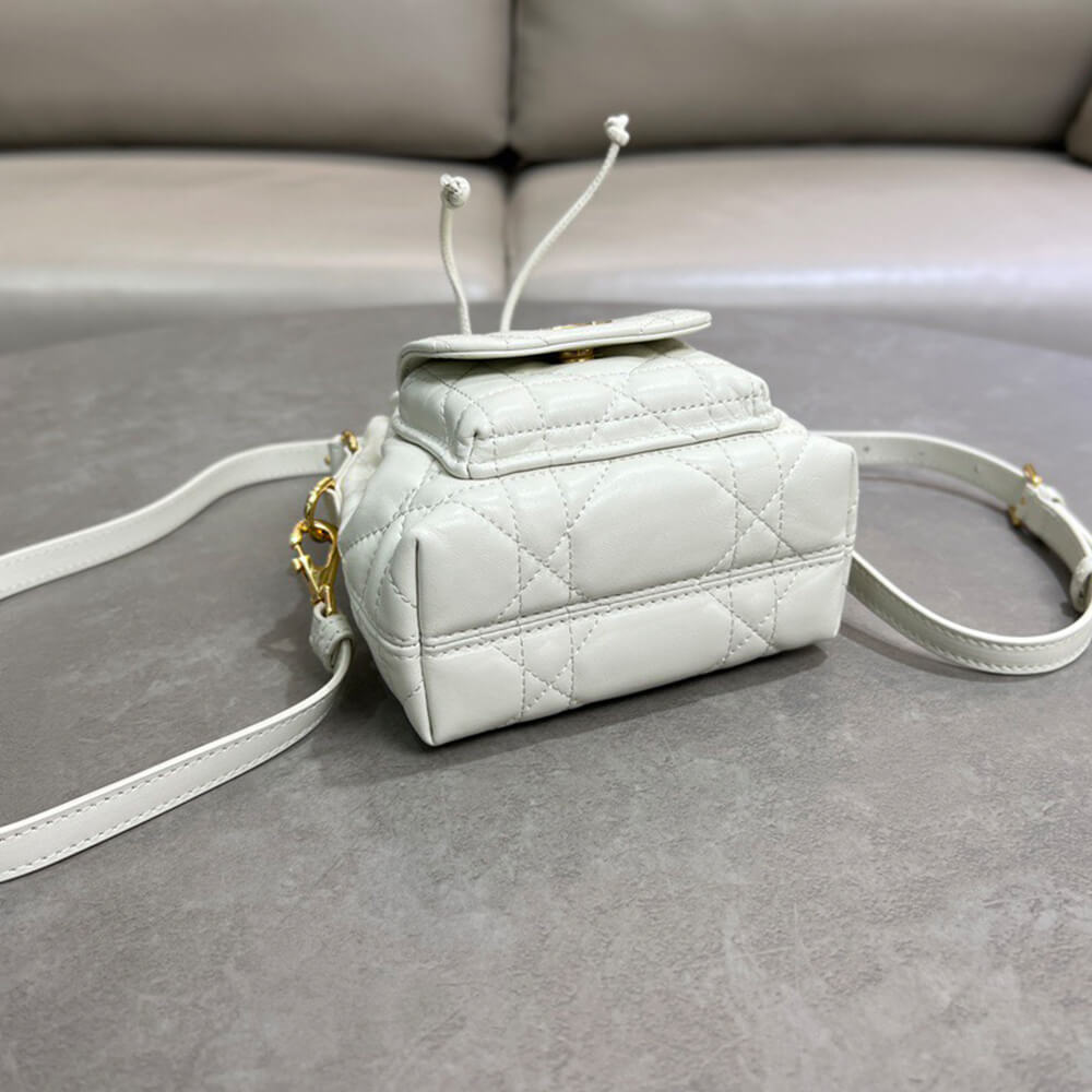 Dior Caro Nano Bucket Bag(HIGH-END GRADE)