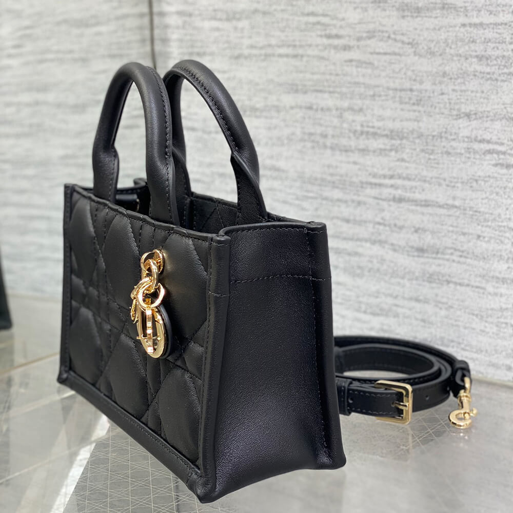 Mini Dior Book Tote
