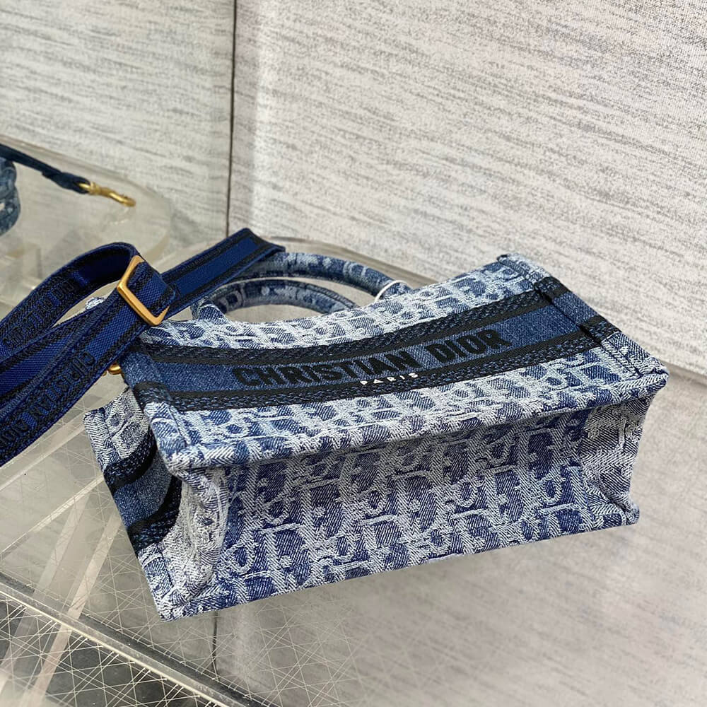 Mini Dior Book Tote
