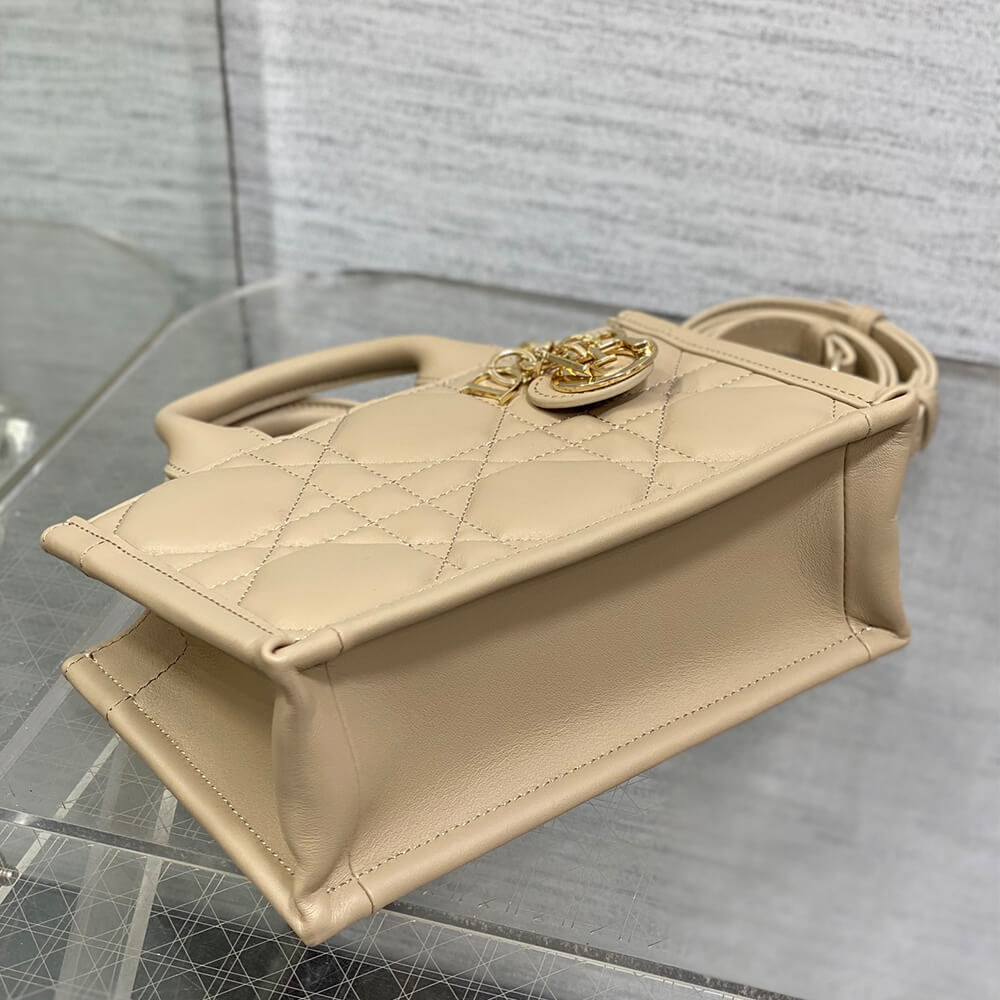 Mini Dior Book Tote