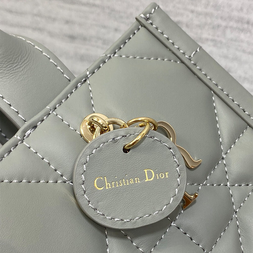 Mini Dior Book Tote