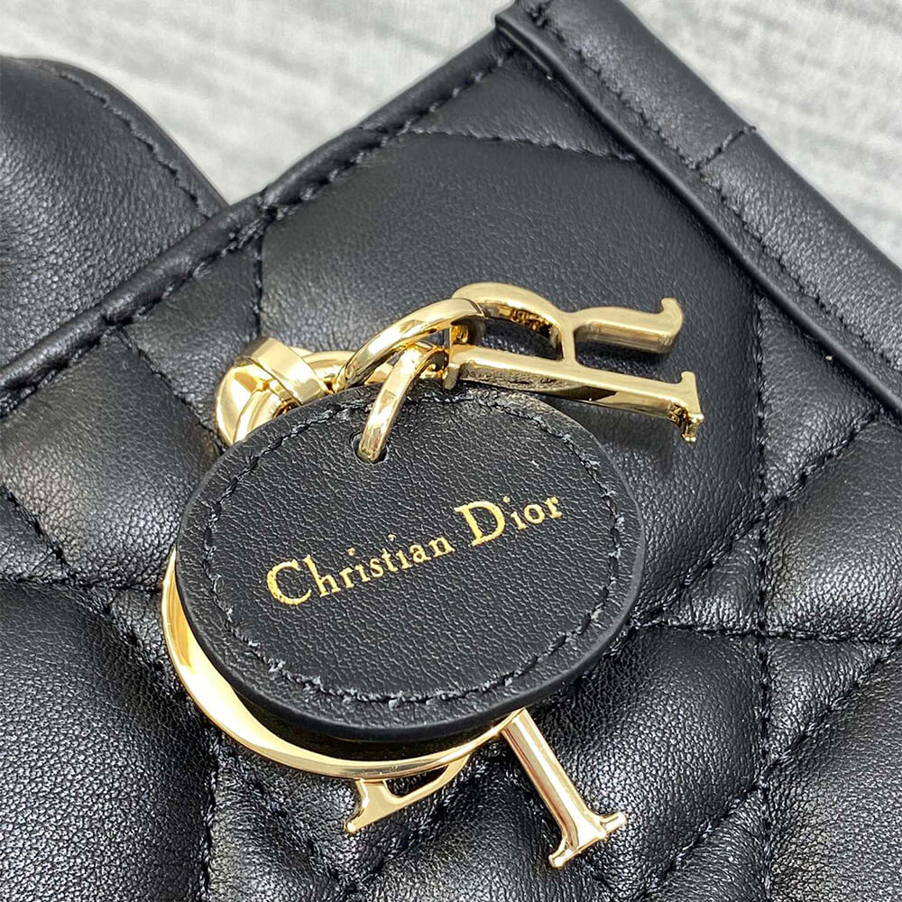 Mini Dior Book Tote