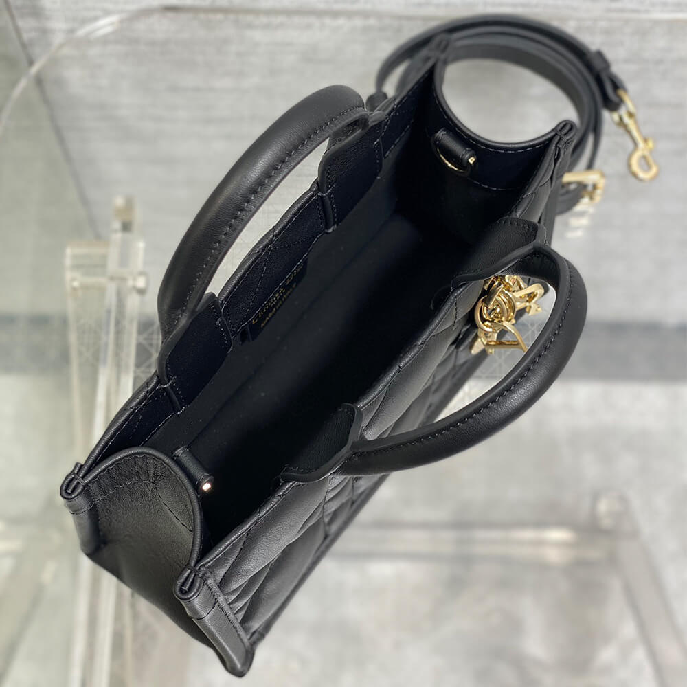 Mini Dior Book Tote